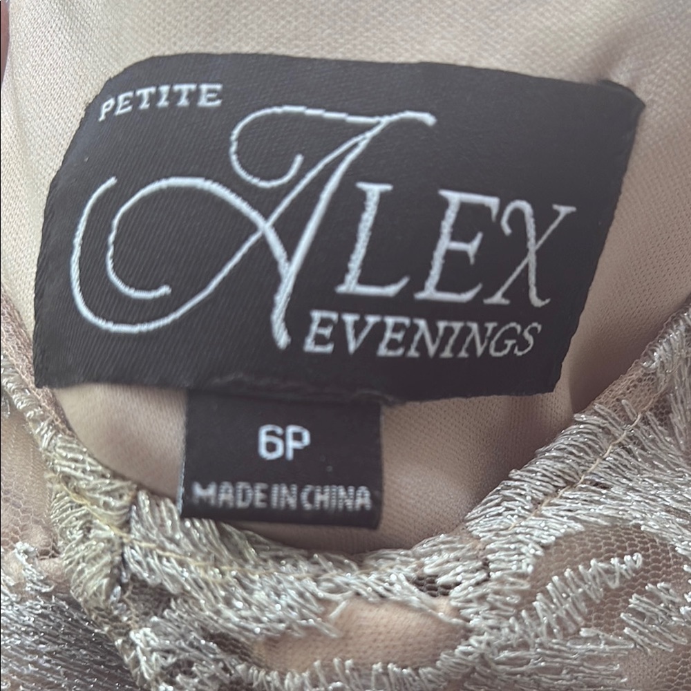 Alex Evenings Silver Lace Dress - Picture 3 of 6